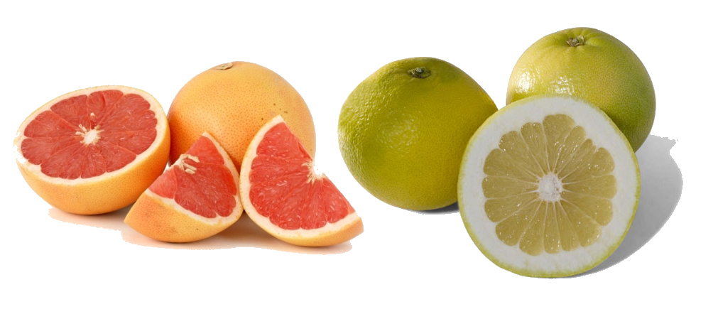 Buy Grapefruit online from Pearson Ranch
