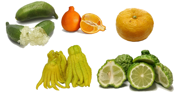 Specialty Citrus from Pearson Ranch