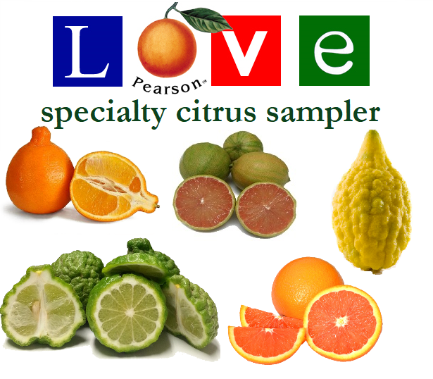 specialty citrus from Pearson Ranch